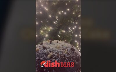 TrustDish 12 Days Of Christmas: Dairy-Free Chocolate Cake